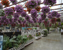 掛川花鳥園 掛川花鳥園