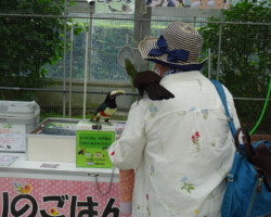 掛川花鳥園
